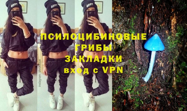 соль ск Алексеевка